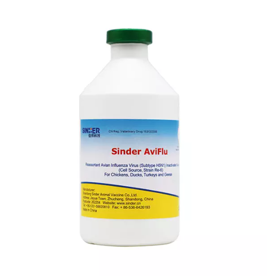 Comment la grippe aviaire affecte-t-elle la santé des volailles ?