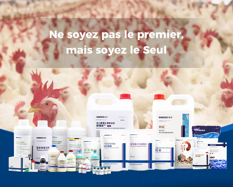 Pourquoi les poulets ne sont-ils pas vaccinés aux États-Unis?