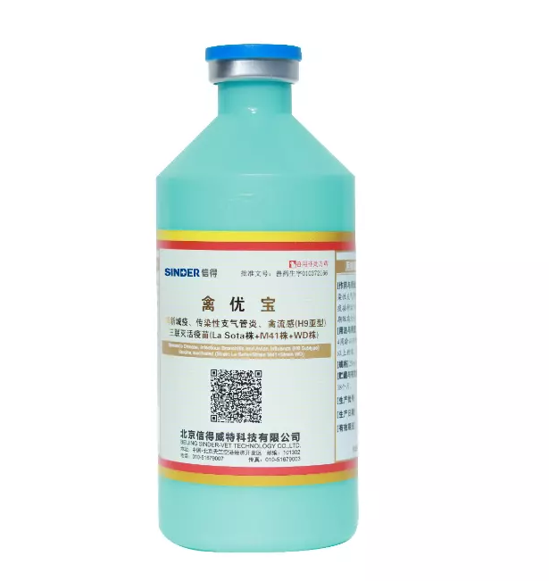 Vaut-il la peine de vacciner les poulets?