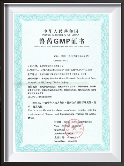 GMP-PÉKIN SINDER-VET