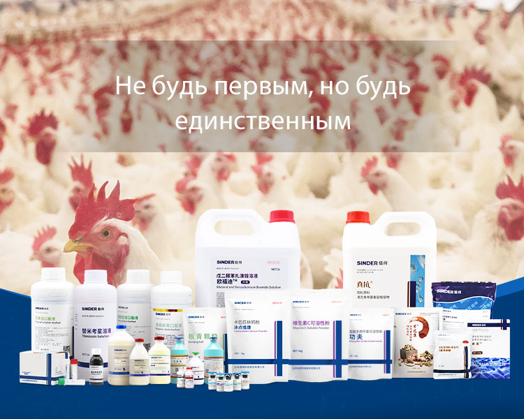 Le rôle de la médecine dans le maintien de la santé du bétail